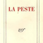 Anteprima